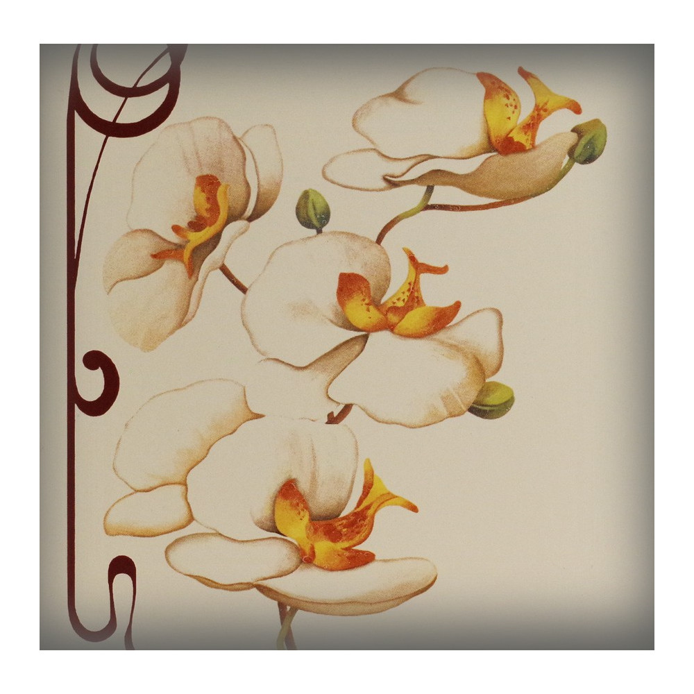 Orchids decoration