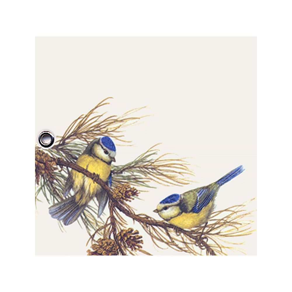 blue tit decor zoom