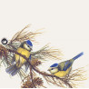 blue tit decor zoom