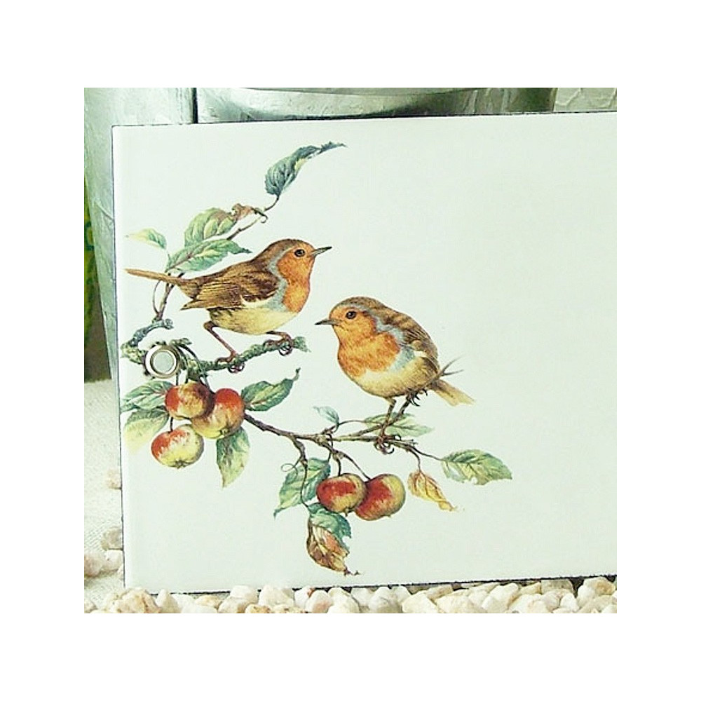 zoom robin decor