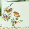 zoom robin decor