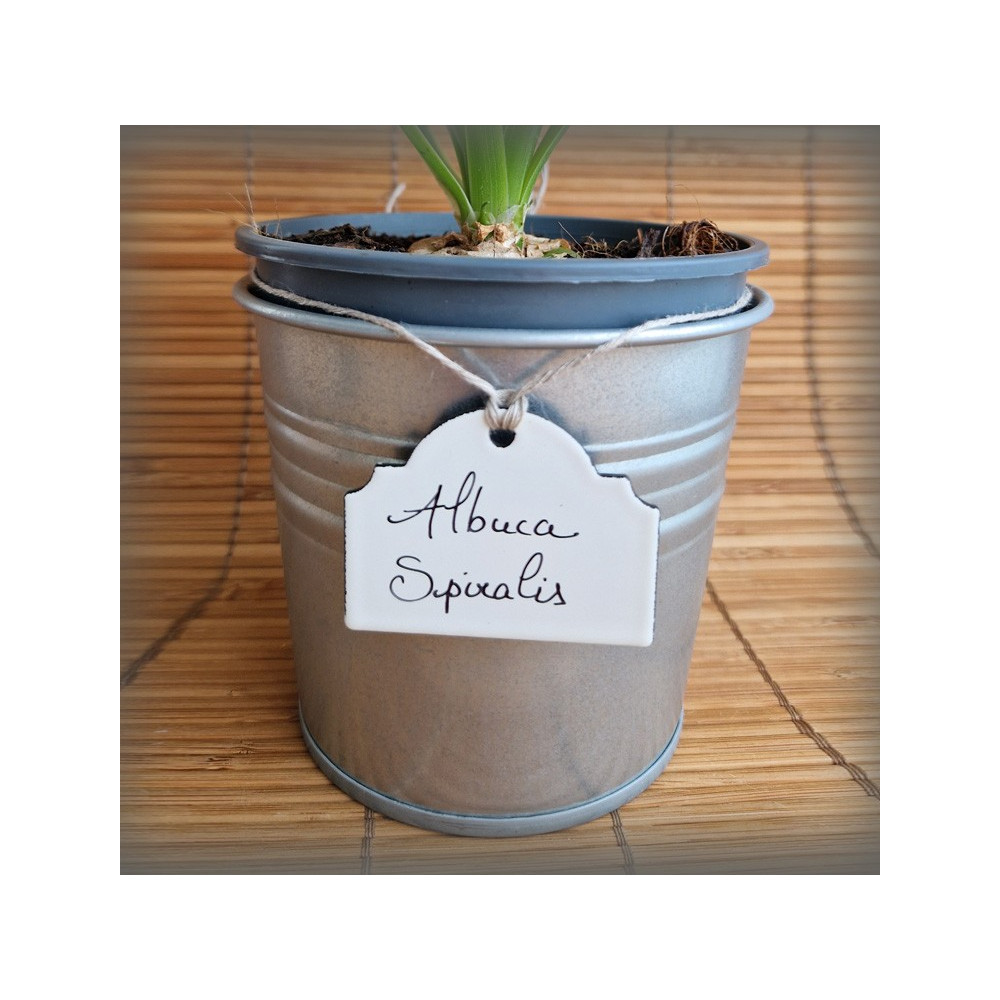 Petite Etiquette de jardin en émail blanc
