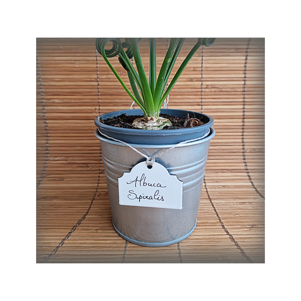 Petite Etiquette de jardin en émail blanc