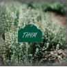 copy of Small garden label in white or green enamel