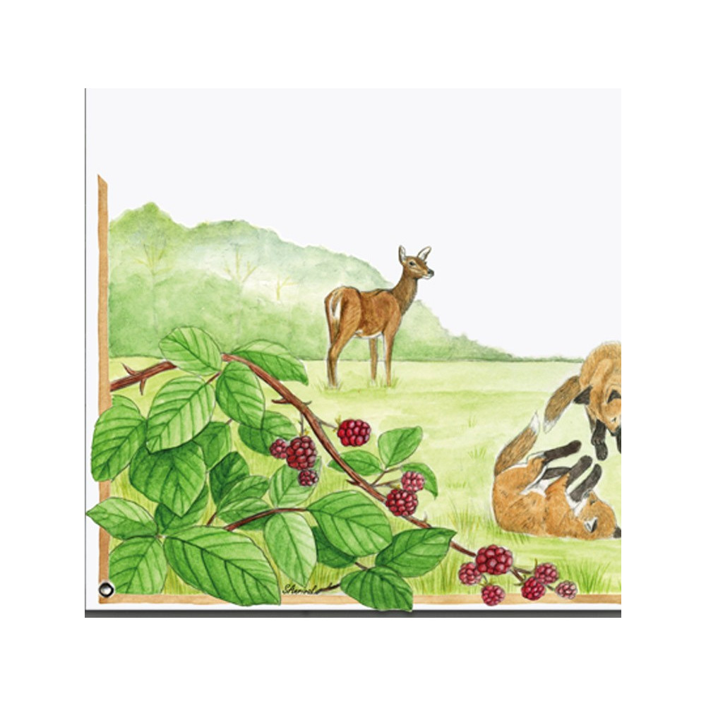Enamelled House sign - Family fox design