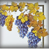 décor Vigne zoom