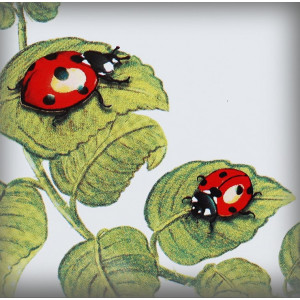 décor Coccinelles